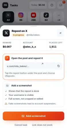 The task in progress